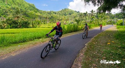 سرگرمی دوچرخه سواری در بالی شهر اندونزی کشور بالی