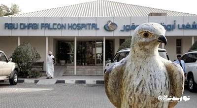 بیمارستان شاهین ابوظبی -  شهر ابوظبی