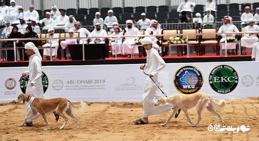  مرکز سالوکی عربی شهر امارات متحده عربی کشور ابوظبی