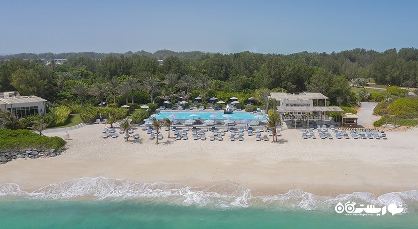 سرگرمی جزیره زایا نوری شهر امارات متحده عربی کشور ابوظبی