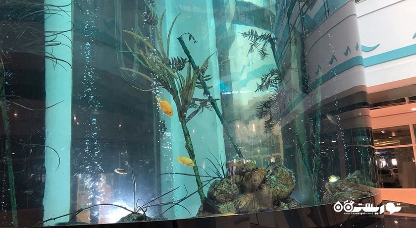 مرکز خرید مشرف مال شهر امارات متحده عربی کشور ابوظبی