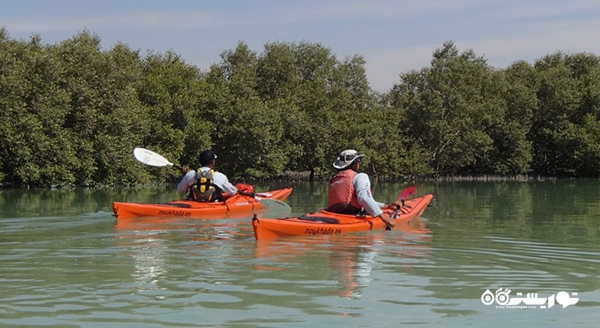 تورهای کایاک سواری جنگل حرا -  شهر ابوظبی