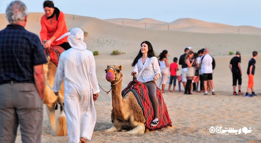 سرگرمی سافاری صحرایی ابوظبی شهر امارات متحده عربی کشور ابوظبی