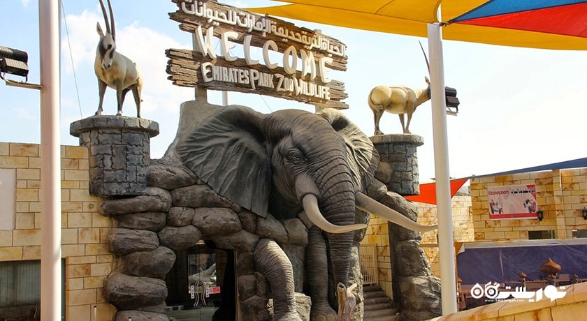 سرگرمی صرف ناهار با پلنگ شهر امارات متحده عربی کشور ابوظبی