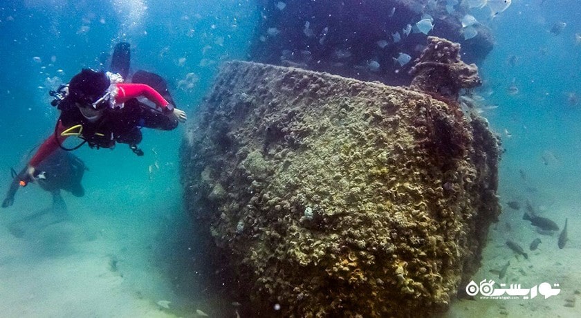 سرگرمی غواصی در المهاره شهر امارات متحده عربی کشور ابوظبی