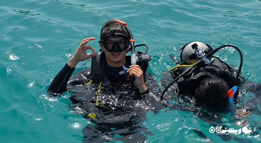 سرگرمی غواصی در المهاره شهر امارات متحده عربی کشور ابوظبی