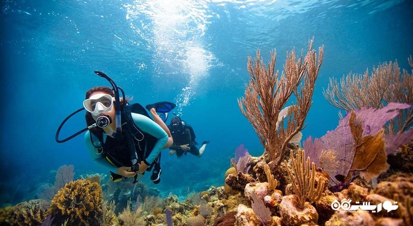 سرگرمی غواصی در المهاره شهر امارات متحده عربی کشور ابوظبی