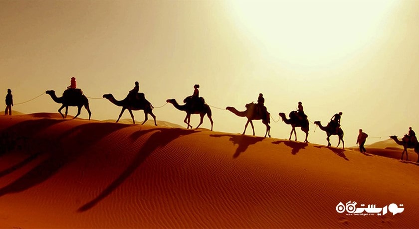 سرگرمی سافاری شتر شهر امارات متحده عربی کشور ابوظبی