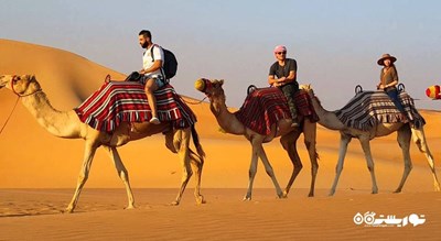 سرگرمی سافاری شتر شهر امارات متحده عربی کشور ابوظبی