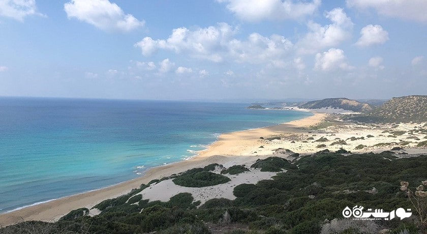 سرگرمی ساحل طلایی کارپاس شهر قبرس شمالی کشور نیکوزیای شمالی