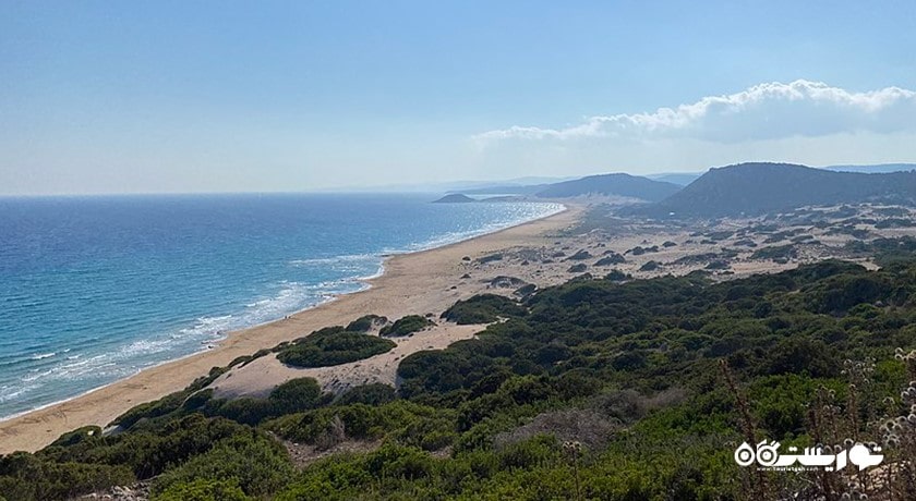 سرگرمی ساحل طلایی کارپاس شهر قبرس شمالی کشور نیکوزیای شمالی