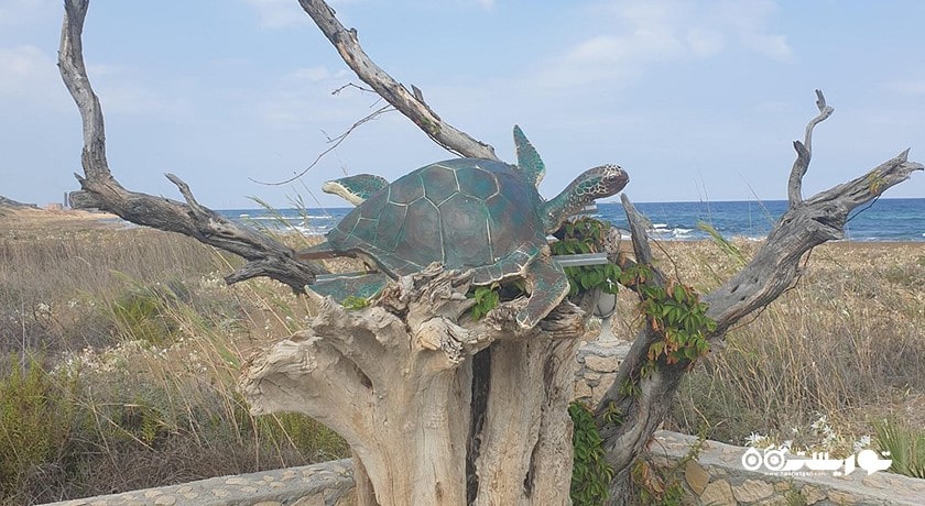 سرگرمی ساحل لاکپشت آلاگادی شهر قبرس شمالی کشور نیکوزیای شمالی