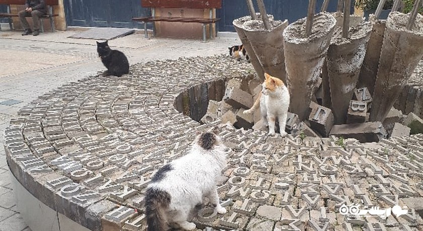  خیابان لدرا شهر قبرس شمالی کشور نیکوزیای شمالی