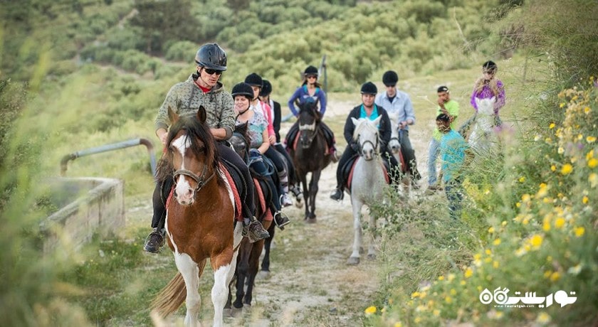 سرگرمی اسب سواری در قبرس شمالی شهر قبرس شمالی کشور نیکوزیای شمالی