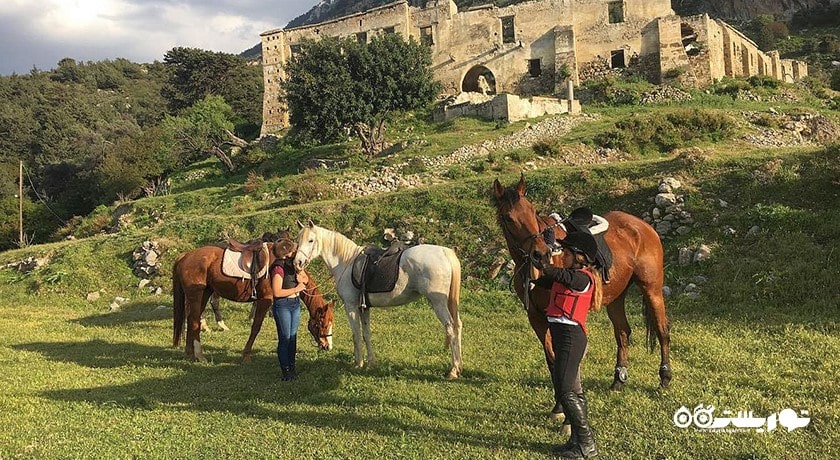 سرگرمی اسب سواری در قبرس شمالی شهر قبرس شمالی کشور نیکوزیای شمالی