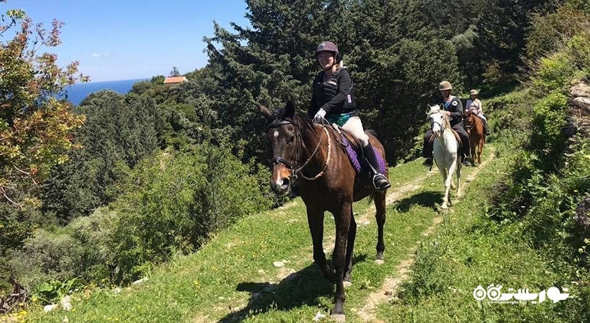 سرگرمی اسب سواری در قبرس شمالی شهر قبرس شمالی کشور نیکوزیای شمالی