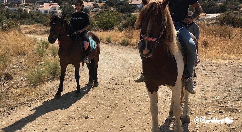سرگرمی اسب سواری در قبرس شمالی شهر قبرس شمالی کشور نیکوزیای شمالی
