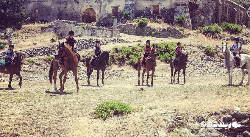 سرگرمی اسب سواری در قبرس شمالی شهر قبرس شمالی کشور نیکوزیای شمالی