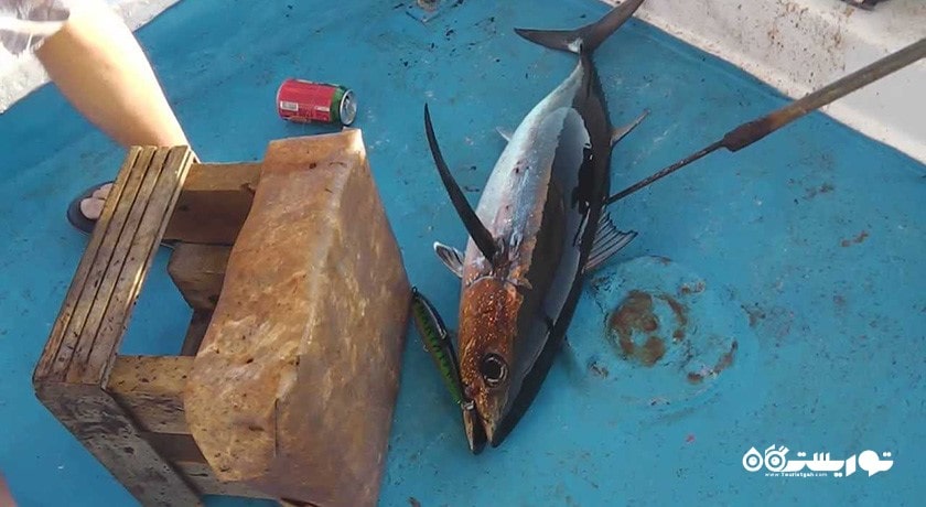 سرگرمی ماهیگیری در قبرس شمالی شهر قبرس شمالی کشور نیکوزیای شمالی