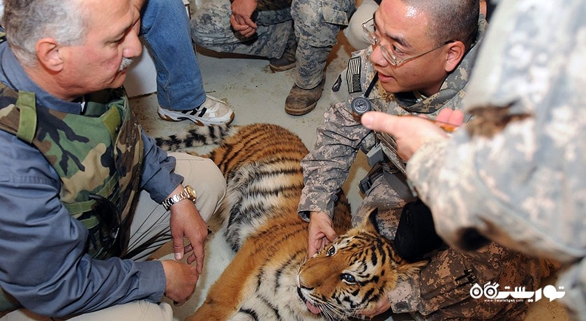 باغ وحش بغداد -  شهر بغداد