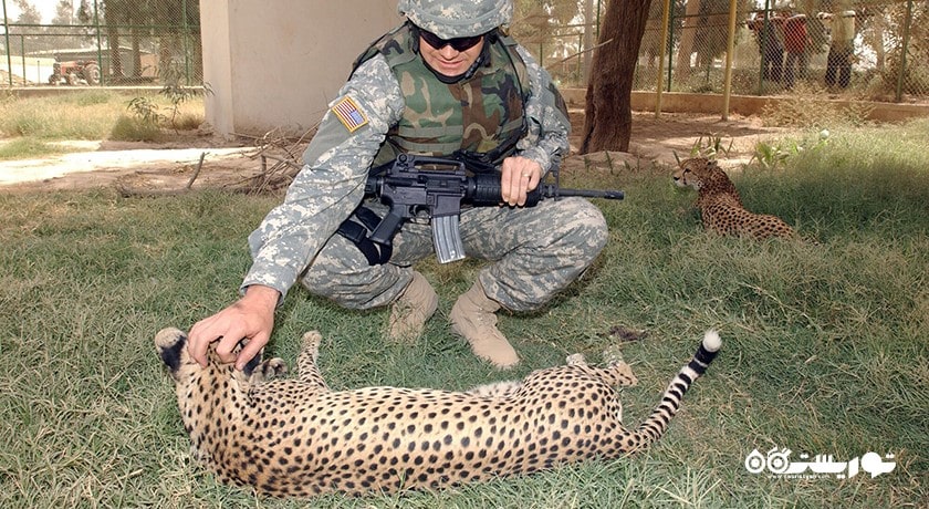 باغ وحش بغداد -  شهر بغداد