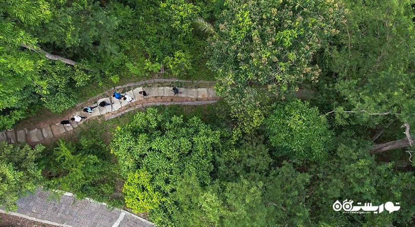  سکوی مشاهده لامای شهر تایلند کشور کو سامویی