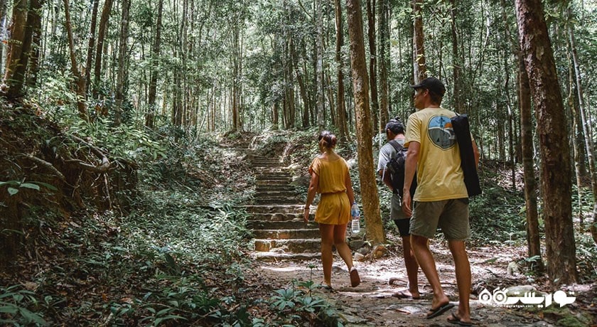  آبشار پائنگ شهر تایلند کشور کو سامویی