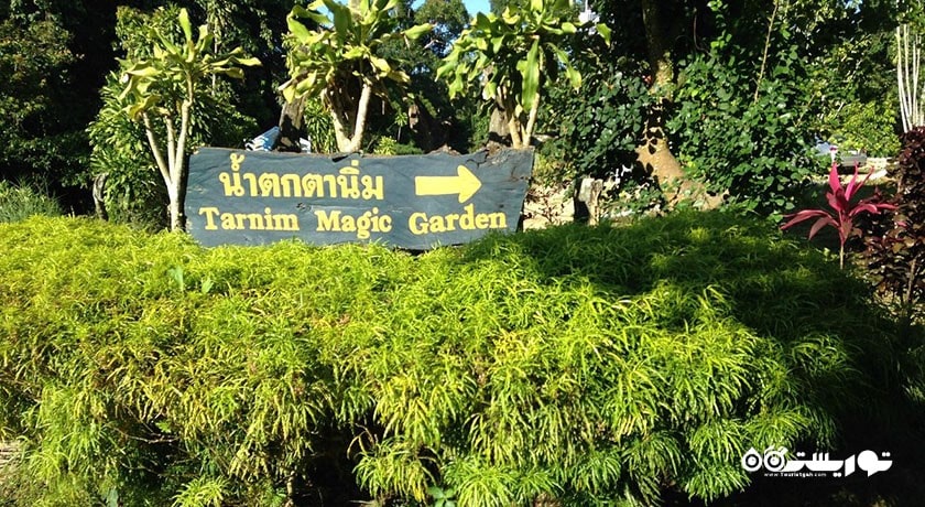  آبشار تار نیم شهر تایلند کشور کو سامویی