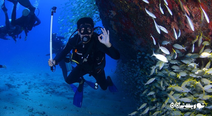 غواصی در کوسامویی -  شهر کو سامویی