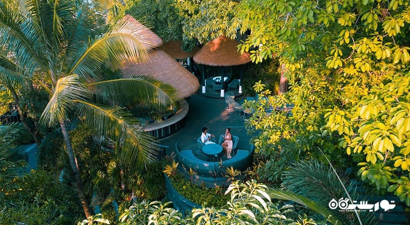 رستوران بار و غذاخوری تری تاپس اسکای شهر کو سامویی 