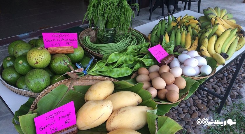 رستوران کافه سوییت سیسترز شهر کو سامویی 