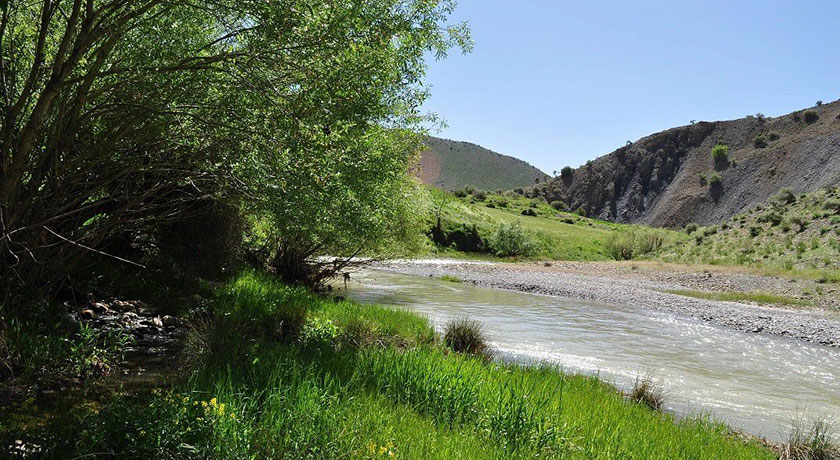 فریدون شهر -  شهر فریدون شهر