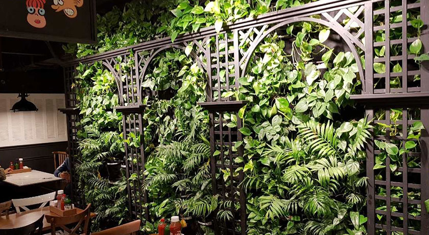 رستوران پیتزا ناپل شهر شیراز 