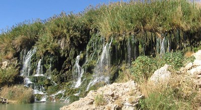 آبشار فدامی -  شهر داراب