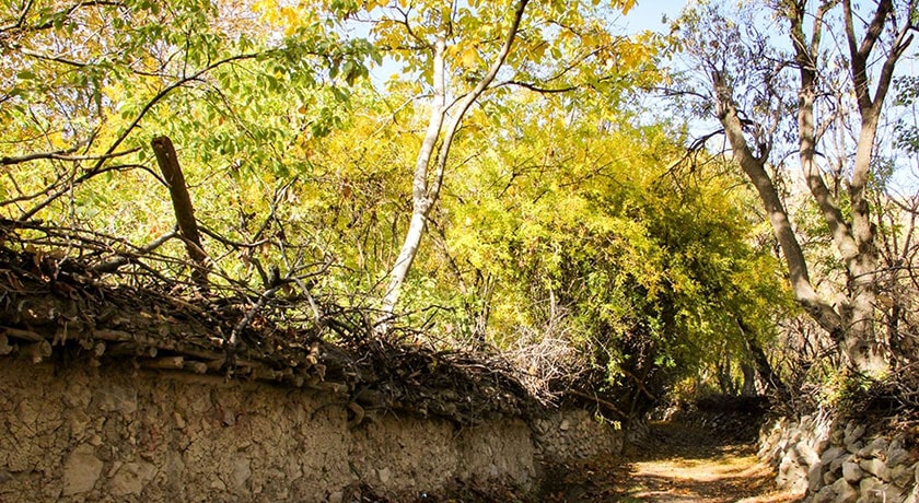 روستای دشتک -  شهر فارس