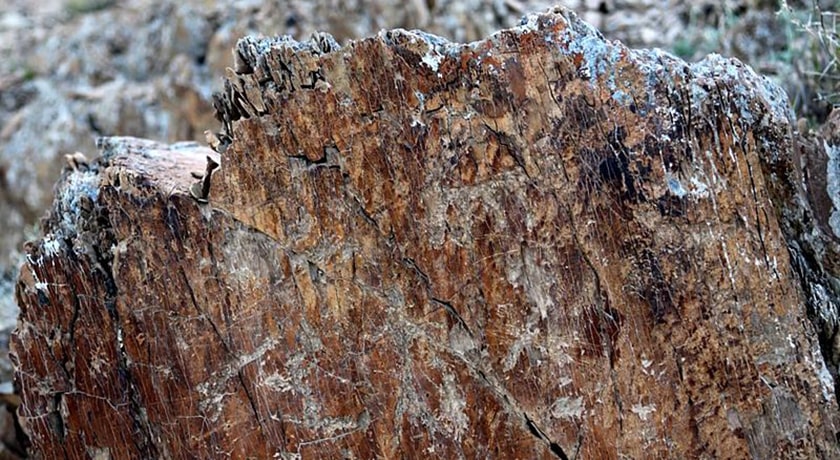  سنگ نگاره های کوه ارنان شهرستان یزد استان مهریز