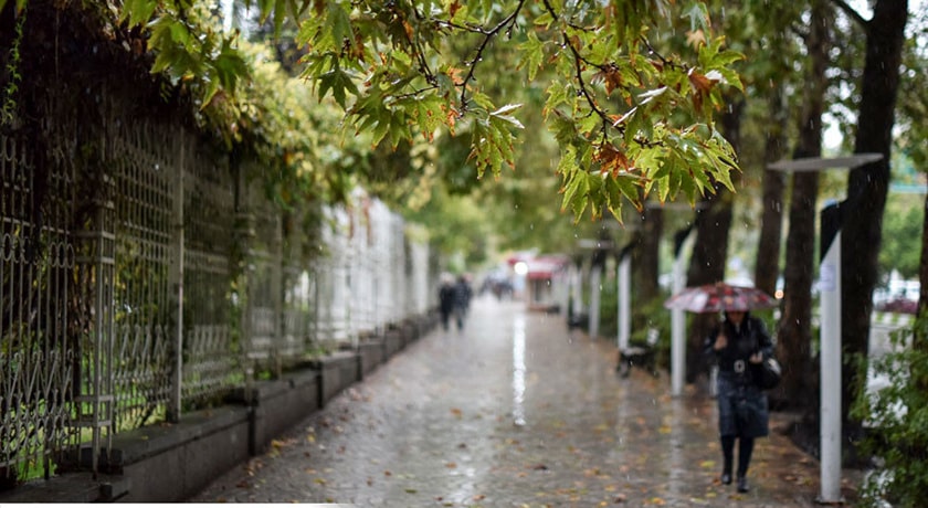  خیابان ارم شهرستان فارس استان شیراز