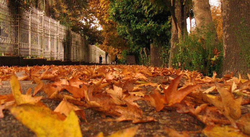  خیابان ارم شهرستان فارس استان شیراز