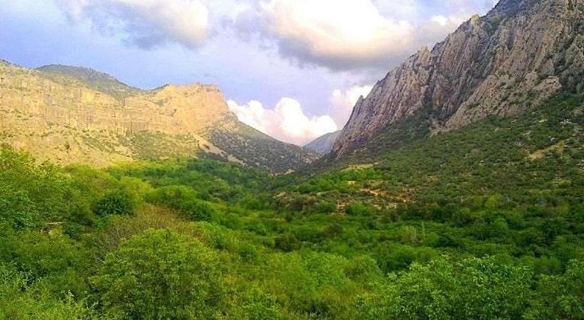 دشت ارژن -  شهر فارس