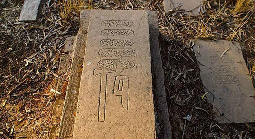 قبرستان دار الاسلام -  شهر شیراز