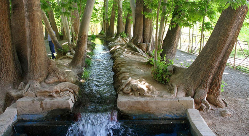 باغ پهلوان پور -  شهر مهریز