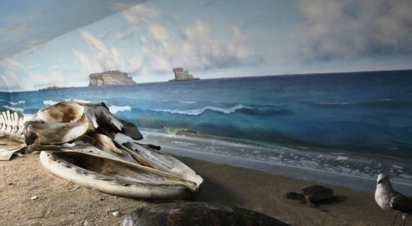 موزه ژئو پارک -  شهر قشم