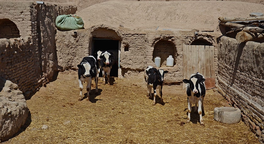  ارگ قورتان شهرستان اصفهان استان اصفهان