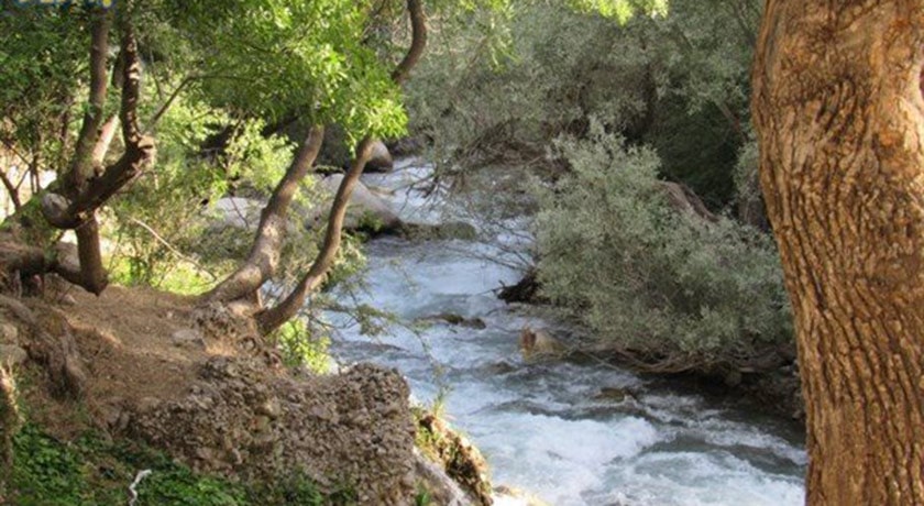  جنگل های پشت کوه شهرستان اصفهان استان فریدون شهر