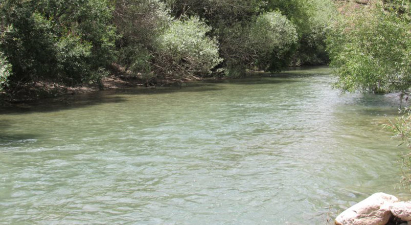  جنگل های پشت کوه شهرستان اصفهان استان فریدون شهر