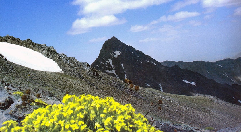 کوه الوند -  شهر همدان