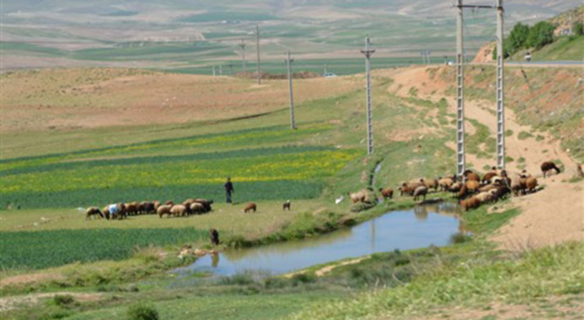 مشهد کاوه -  شهر اصفهان