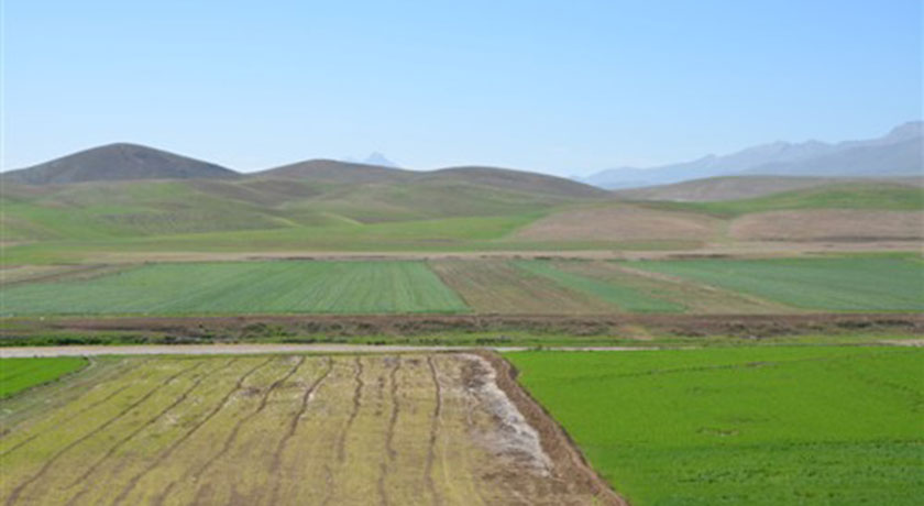 مشهد کاوه -  شهر اصفهان