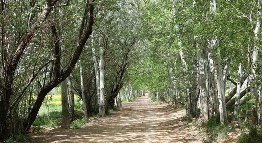  میمه شهرستان اصفهان استان اصفهان