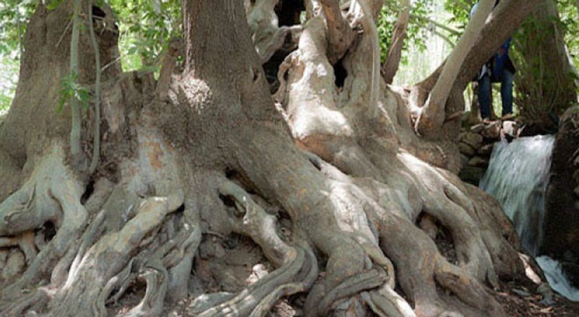  روستا اوره شهرستان اصفهان استان نطنز